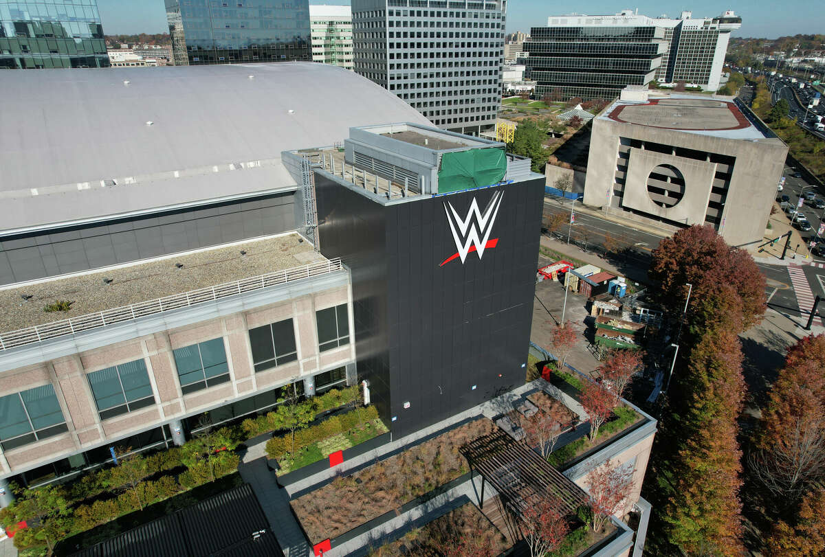 Head of Corporate Social Responsibility among WWE cuts